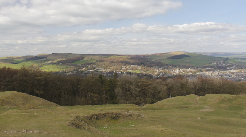 Combs Moss